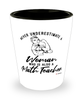 Math Teacher Shotglass Never Underestimate A Woman Who Is Also A Math Teacher Shot Glass