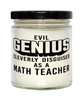 Funny Math Teacher Candle Evil Genius Cleverly Disguised As A Math Teacher 9oz Vanilla Scented Candles Soy Wax