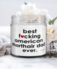 Funny American Shorthair Cat Candle B3st F-cking American Shorthair Dad Ever 9oz Vanilla Scented Candles Soy Wax