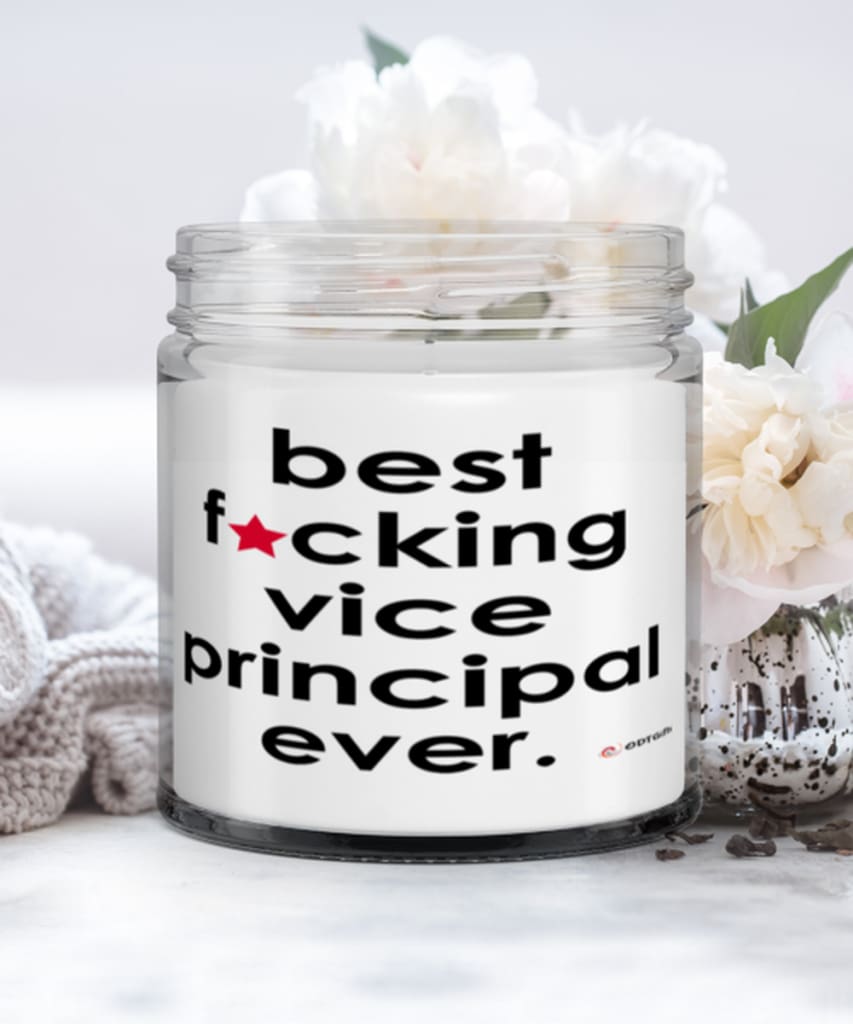 Funny Vice Principal Candle B3st F-cking Vice Principal Ever 9oz Vanilla Scented Candles Soy Wax