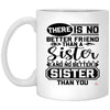 LANKEST Heartfelt Sister Mug There Is No Better Friend Than a Sister No Better Sister Than You Coffee Cup 11oz White