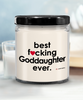 Funny Goddaughter Candle B3st F-cking Goddaughter Ever 9oz Vanilla Scented Candles Soy Wax