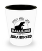 Funny Dinosaur Mother Shot Glass Don't Mess With Mamasaurus