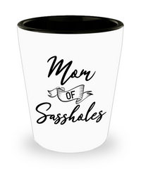 Funny Mother Shot Glass Mug Mom Of Sassholes