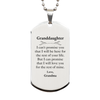 Granddaughter Inspirational Gifts from Grandma, I will love you for the rest of mine, Birthday Silver Dog Tag Keepsake Gifts for Granddaughter