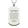 Granddaughter Inspirational Gifts from Grandfather, I will love you for the rest of mine, Birthday Silver Dog Tag Keepsake Gifts for Granddaughter