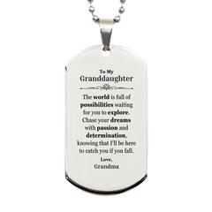 To My Granddaughter Supporting Silver Dog Tag, The world is full of possibilities waiting, Birthday Inspirational Gifts for Granddaughter from Grandma