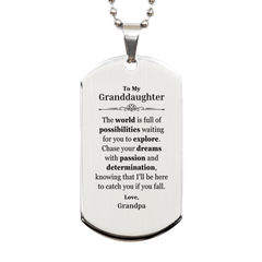 To My Granddaughter Supporting Silver Dog Tag, The world is full of possibilities waiting, Birthday Inspirational Gifts for Granddaughter from Grandpa