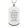 Big Sister Gift. Birthday Meaningful Gifts for Big Sister, To me You are the World. Standout Appreciation Gifts, Silver Dog Tag for Big Sister