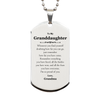 To My Granddaughter Inspirational Silver Dog Tag, I'm so proud of you, Granddaughter Birthday Supporting Gifts From Grandma