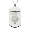 To My Granddaughter Inspirational Silver Dog Tag, I'm so proud of you, Granddaughter Birthday Supporting Gifts From Nana