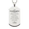 To My Granddaughter Inspirational Silver Dog Tag, I'm so proud of you, Granddaughter Birthday Supporting Gifts From Granddad