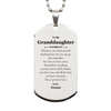 To My Granddaughter Inspirational Silver Dog Tag, I'm so proud of you, Granddaughter Birthday Supporting Gifts From Nonno