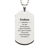 Godson Silver Dog Tag Inspirational Engraved Gift for Birthday Graduation With Spirit of Power and Love, Perfect Christmas Present for Godson