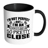 Accountant Mug Im Not Perfect But Im An Accountant White 11oz Accent Coffee Mugs