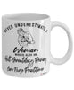 Adult-Gerontology Primary Care Nurse Practitioner Mug Never Underestimate A Woman Who Is Also An AGPCNP Coffee Cup White