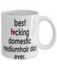 Funny Cat Mug B3st F-cking Domestic Mediumhair Dad Ever Coffee Cup White