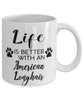 Funny American Longhair Cat Mug Life Is Better With An American Longhair Coffee Cup 11oz 15oz White