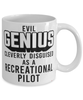 Funny Recreational Pilot Mug Evil Genius Cleverly Disguised As A Recreational Pilot Coffee Cup 11oz 15oz White