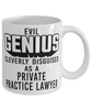 Funny Private Practice Lawyer Mug Evil Genius Cleverly Disguised As A Private Practice Lawyer Coffee Cup 11oz 15oz White