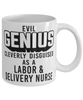 Funny Labor Delivery Nurse Mug Evil Genius Cleverly Disguised As A Labor and Delivery Nurse Coffee Cup 11oz 15oz White