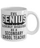 Funny Secondary School Teacher Mug Evil Genius Cleverly Disguised As A Secondary School Teacher Coffee Cup 11oz 15oz White