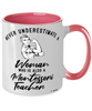 Montessori Teacher Mug Never Underestimate A Woman Who Is Also A Montessori Teacher Coffee Cup Two Tone Pink 11oz