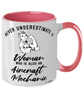 Aircraft Mechanic Mug Never Underestimate A Woman Who Is Also An Aircraft Mechanic Coffee Cup Two Tone Pink 11oz