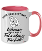 Technology Teacher Mug Never Underestimate A Woman Who Is Also A Technology Teacher Coffee Cup Two Tone Pink 11oz