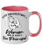 Vice Principal Mug Never Underestimate A Woman Who Is Also A Vice Principal Coffee Cup Two Tone Pink 11oz