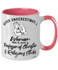 Professor of Christian Religious Studies Mug Never Underestimate A Woman Who Is Also A Professor of Christian Religious Studies Coffee Cup Two Tone Pink 11oz