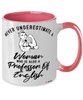 Professor of English Mug Never Underestimate A Woman Who Is Also A Professor of English Coffee Cup Two Tone Pink 11oz