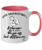 Business Law Attorney Mug Never Underestimate A Woman Who Is Also A Business Law Attorney Coffee Cup Two Tone Pink 11oz