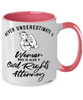 Civil Rights Attorney Mug Never Underestimate A Woman Who Is Also A Civil Rights Attorney Coffee Cup Two Tone Pink 11oz