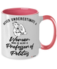 Professor of Politics Mug Never Underestimate A Woman Who Is Also A Professor of Politics Coffee Cup Two Tone Pink 11oz