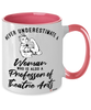 Professor of Theatre Arts Mug Never Underestimate A Woman Who Is Also A Professor of Theatre Arts Coffee Cup Two Tone Pink 11oz