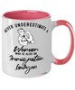 Immigration Lawyer Mug Never Underestimate A Woman Who Is Also An Immigration Lawyer Coffee Cup Two Tone Pink 11oz