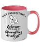 Operations Analyst Mug Never Underestimate A Woman Who Is Also An Operations Analyst Coffee Cup Two Tone Pink 11oz