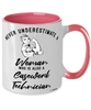 Casework Technician Mug Never Underestimate A Woman Who Is Also A Casework Tech Coffee Cup Two Tone Pink 11oz