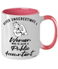 Public Accountant Mug Never Underestimate A Woman Who Is Also A Public Accountant Coffee Cup Two Tone Pink 11oz