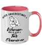 Tax Examiner Mug Never Underestimate A Woman Who Is Also A Tax Examiner Coffee Cup Two Tone Pink 11oz