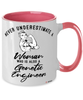 Genetic Engineer Mug Never Underestimate A Woman Who Is Also A Genetic Engineer Coffee Cup Two Tone Pink 11oz