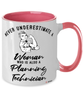 Planning Technician Mug Never Underestimate A Woman Who Is Also A Planning Tech Coffee Cup Two Tone Pink 11oz