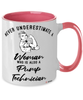 Pump Technician Mug Never Underestimate A Woman Who Is Also A Pump Tech Coffee Cup Two Tone Pink 11oz
