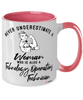 Technology Operations Technician Mug Never Underestimate A Woman Who Is Also A Technology Operations Tech Coffee Cup Two Tone Pink 11oz