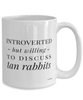 Funny Rabbit Mug Introverted But Willing To Discuss Tan Rabbits Coffee Cup 15oz White