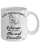 Clinical Director Mug Never Underestimate A Woman Who Is Also A Clinical Director Coffee Cup White