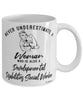 Developmental Disabilities Social Worker Mug Never Underestimate A Woman Who Is Also A DD Social Worker Coffee Cup White