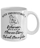 Elementary School Counselor Mug Never Underestimate A Woman Who Is Also An Elementary School Counselor Coffee Cup White