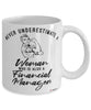 Financial Manager Mug Never Underestimate A Woman Who Is Also A Financial Manager Coffee Cup White